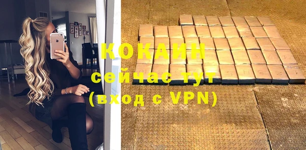 бошки Новозыбков