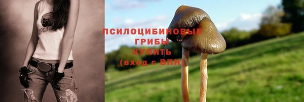 бошки Новозыбков