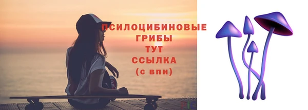 бошки Новозыбков